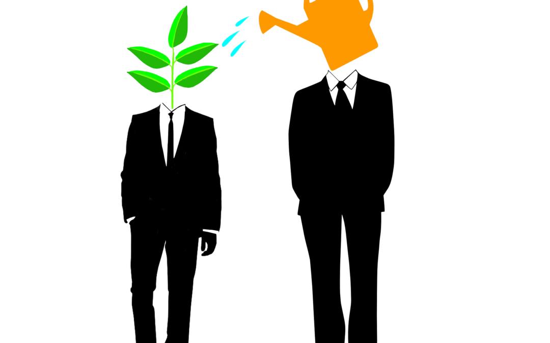 Small Business Mentoring, Not More Rules