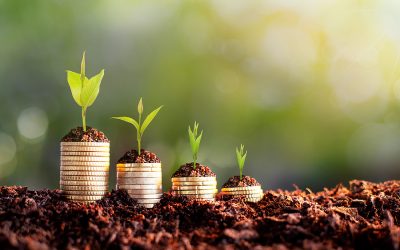 Changes to Capital Allowances in the Budget